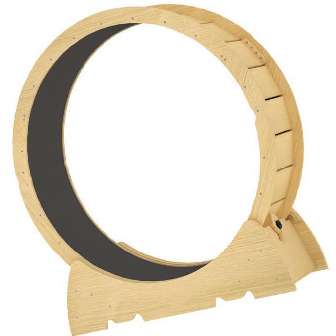 Cat Exercise Wheel with Locking Device