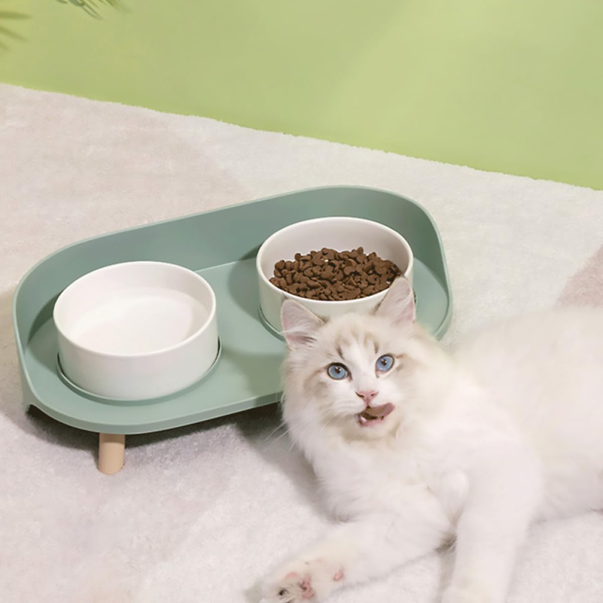 Elevated Ceramic Double Cat Bowl
