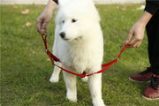 Nylon Pet Leash for Dogs & Cats