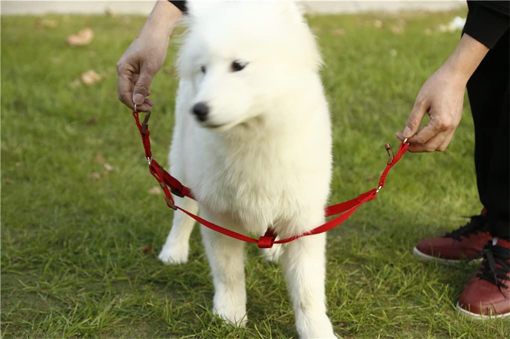 Nylon Pet Leash for Dogs & Cats