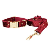 Velvet Dog Collar & Leash Set with Bow Tie