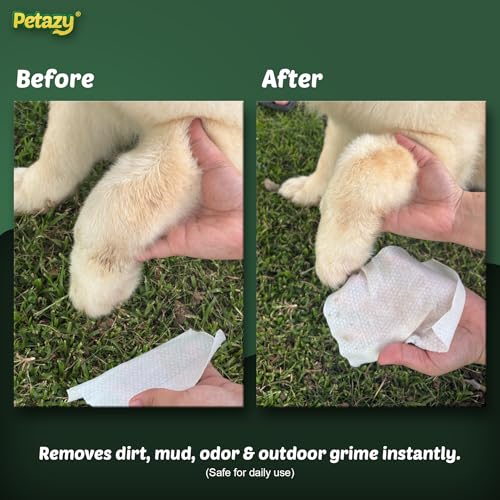 Organic Pet Cleaning Wipes for Dogs & Cats