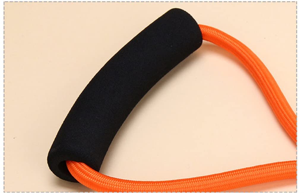 Nylon Pet Leash for Dogs & Cats