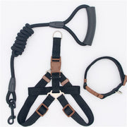 Nylon Pet Leash for Dogs & Cats