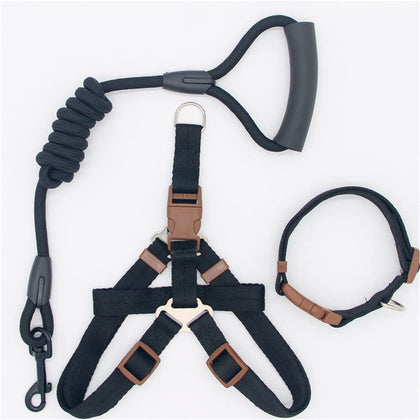 Nylon Pet Leash for Dogs & Cats