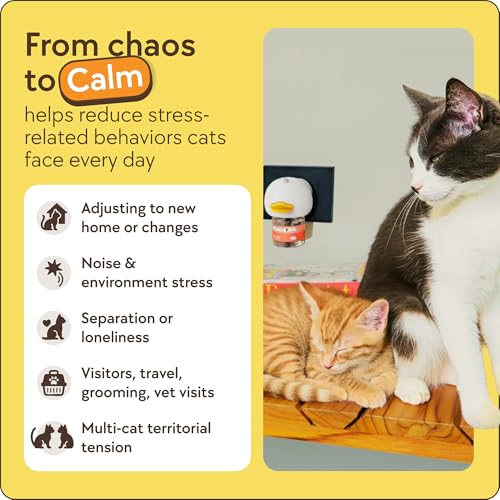 60-Day Cat Calming Diffuser Kit