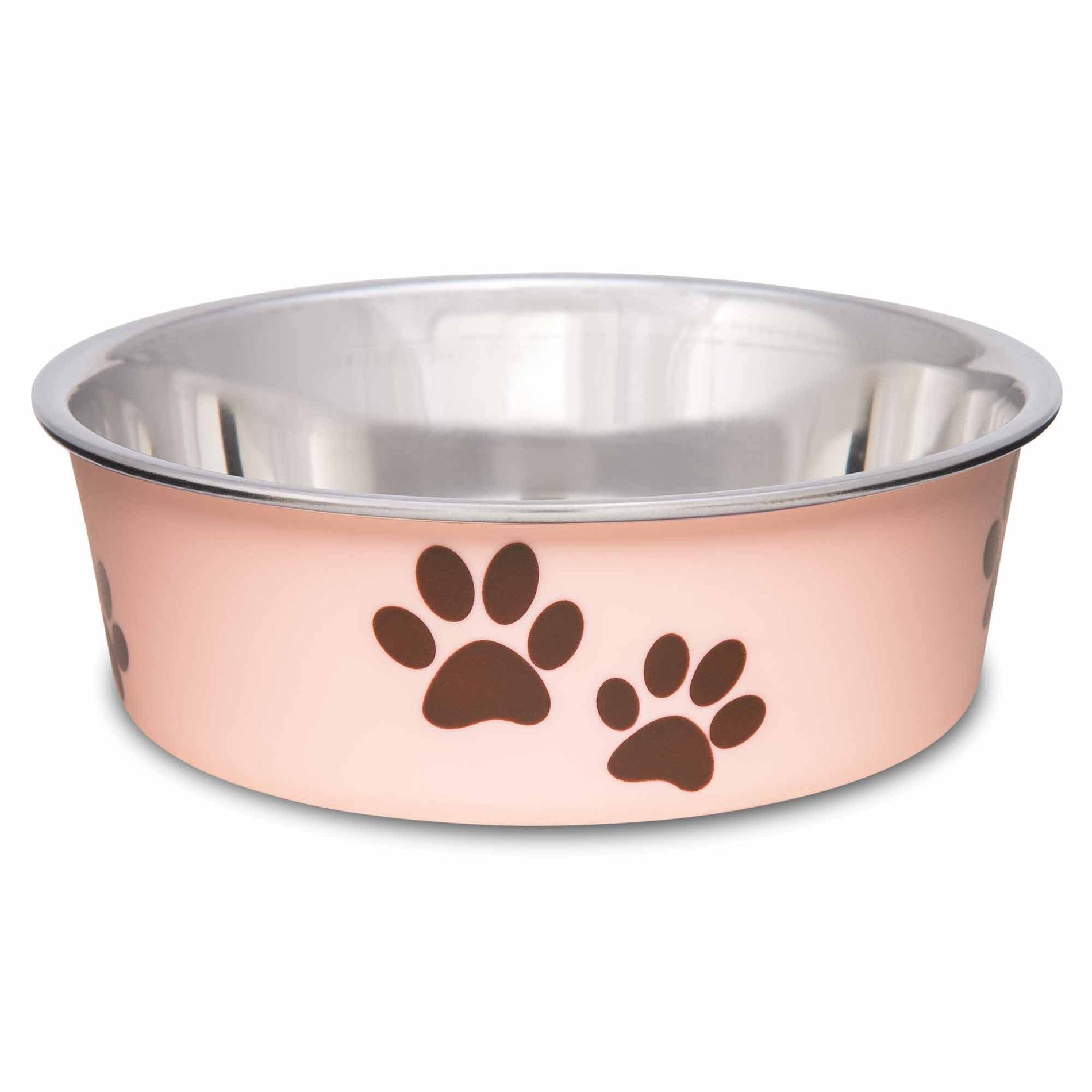 Stainless Steel Spill-Proof Pet Bowl