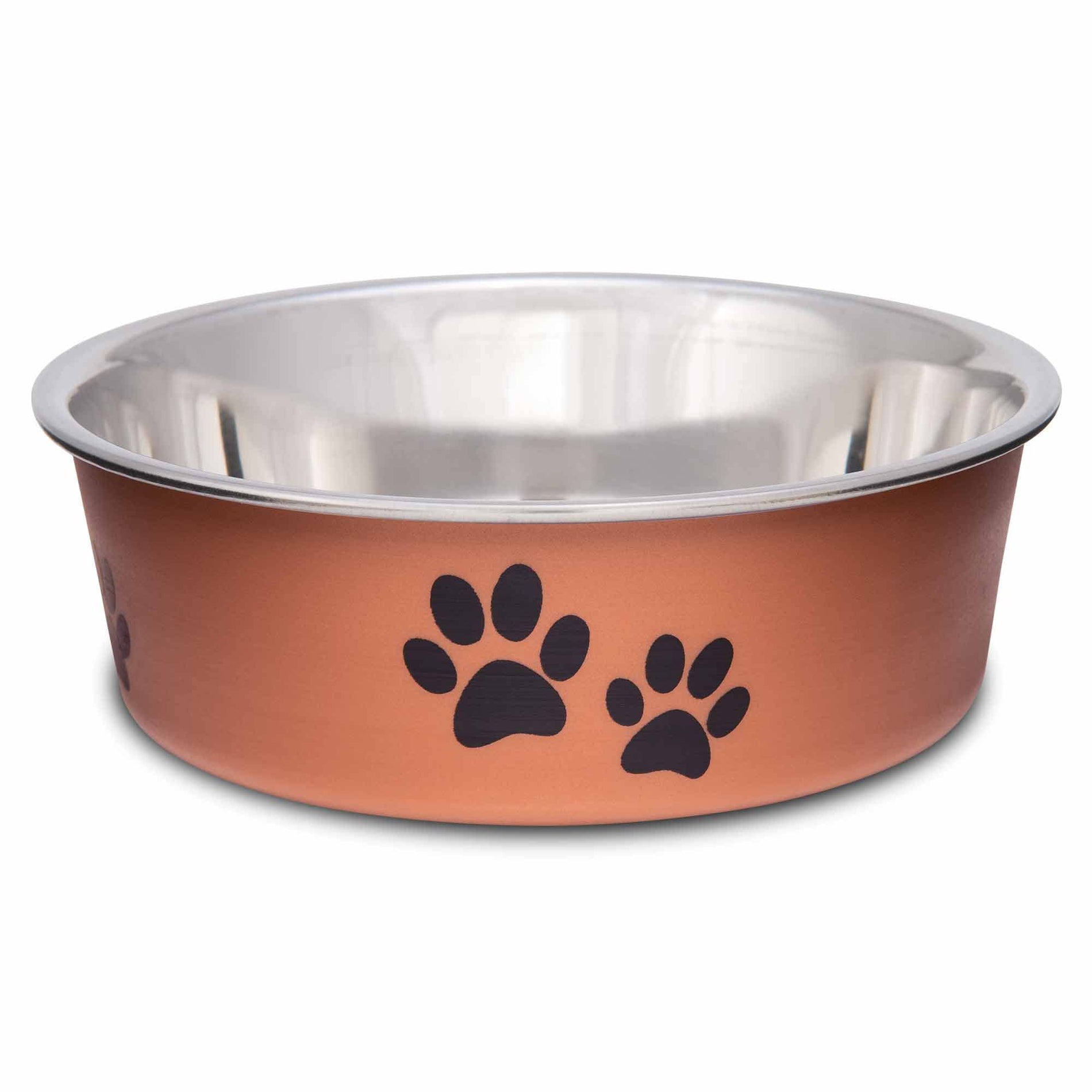 Stainless Steel Spill-Proof Pet Bowl