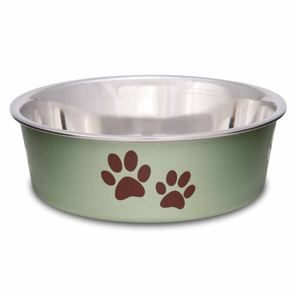 Stainless Steel Spill-Proof Pet Bowl