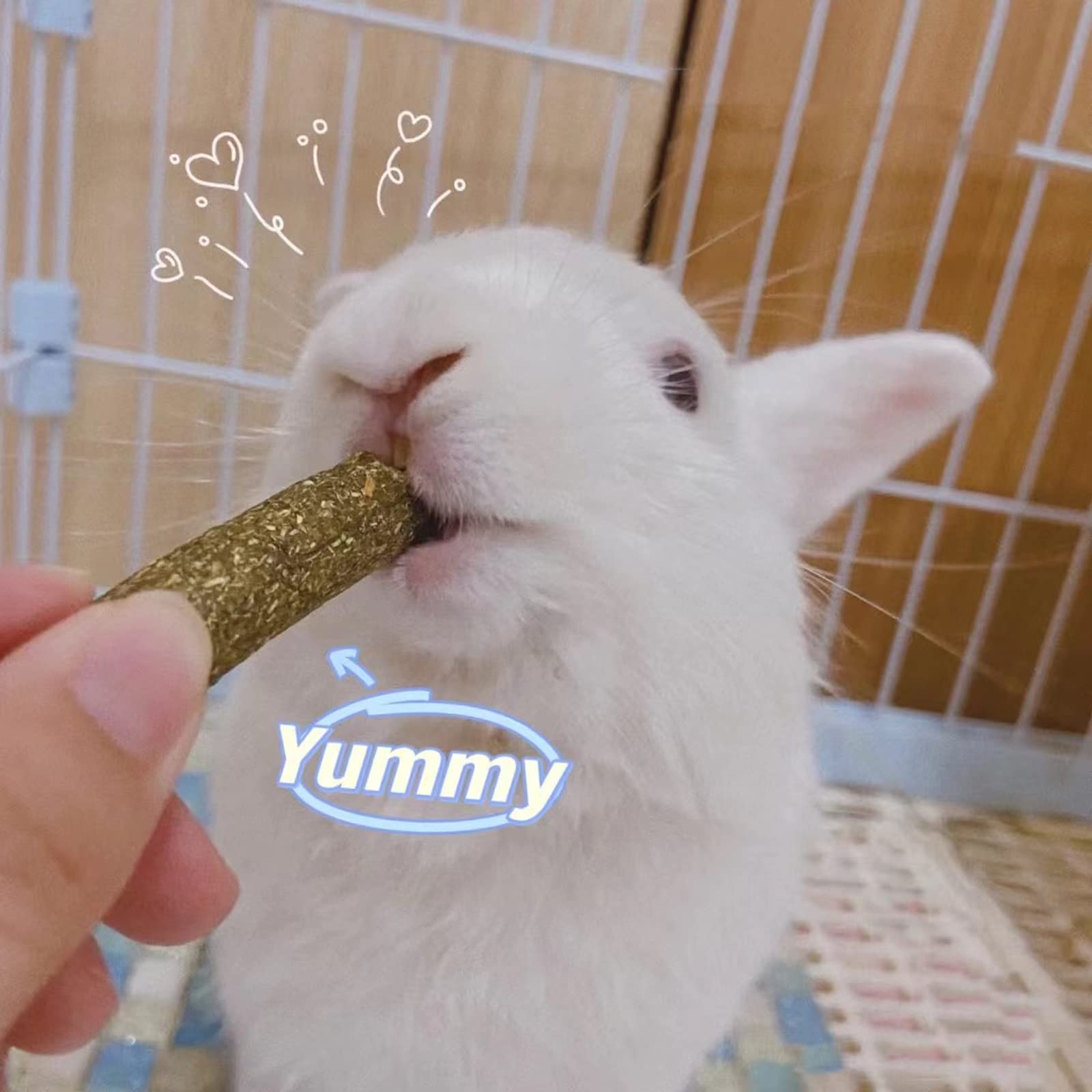 Natural Bunny Chew Toys & Treat Sticks