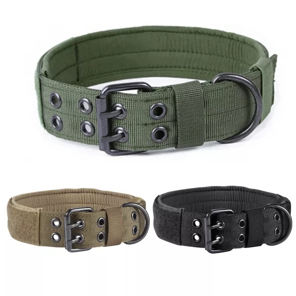Heavy-Duty Adjustable Dog Collar with ID Panel