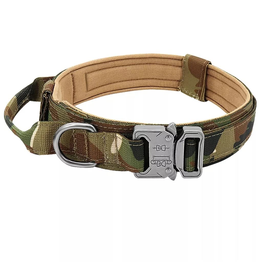Dog Collar with Control Handle