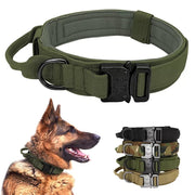 Dog Collar with Control Handle