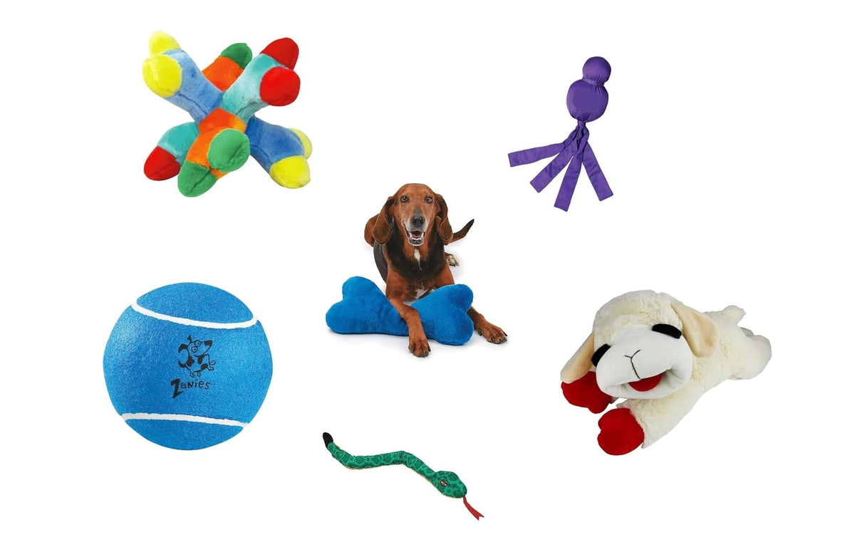 Large Dog Toy Bundle for Chew and Tug