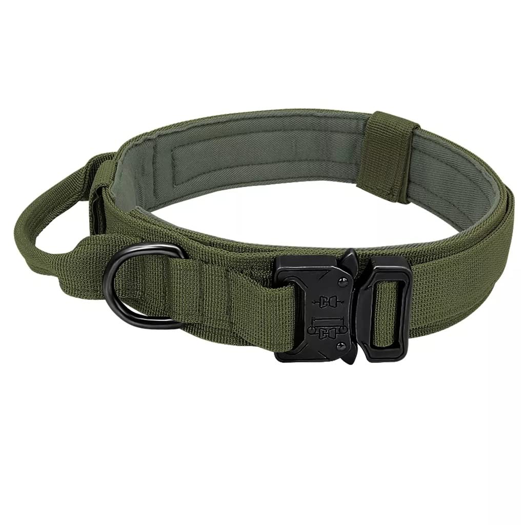 Dog Collar with Control Handle