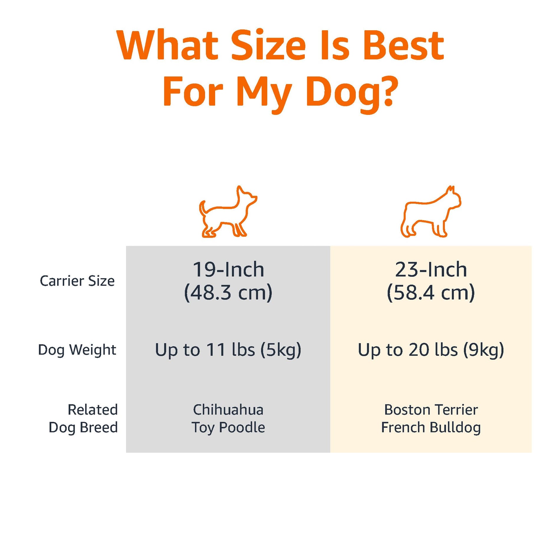 Plastic Pet Carrier with Secure Buckle