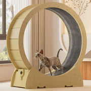 Cat Exercise Wheel with Locking Device