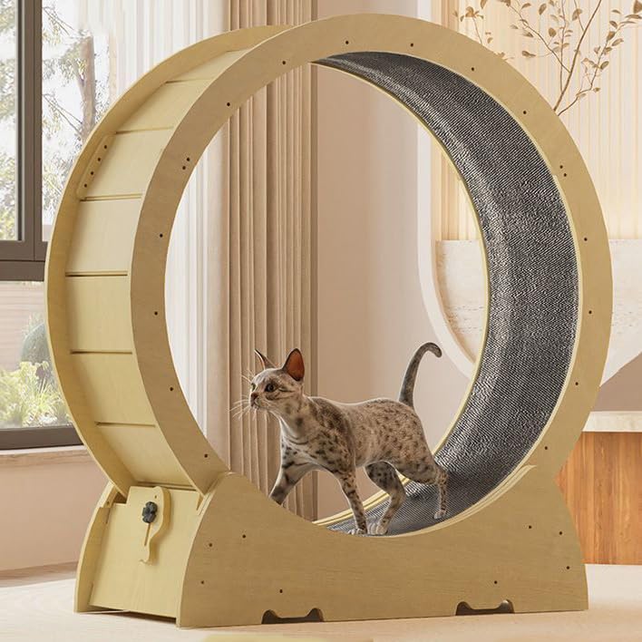 Cat Exercise Wheel with Locking Device