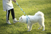 Nylon Pet Leash for Dogs & Cats