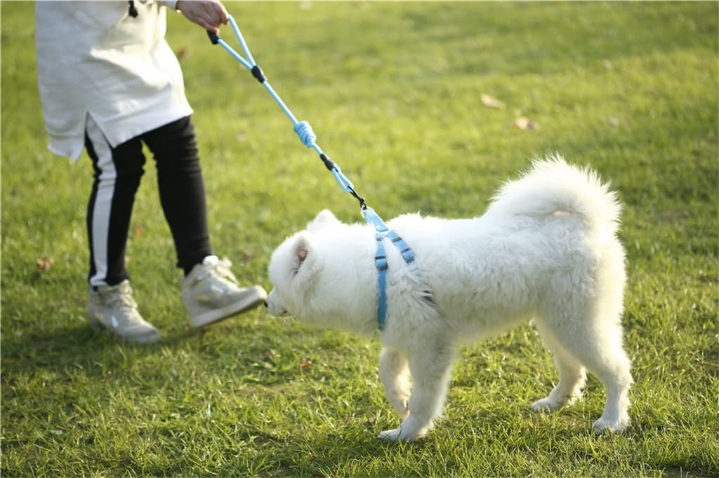 Nylon Pet Leash for Dogs & Cats
