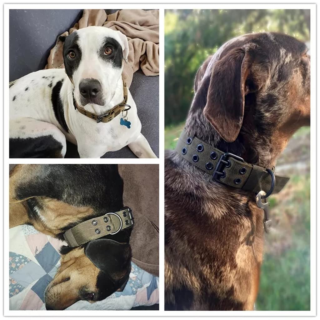 Heavy-Duty Adjustable Dog Collar with ID Panel
