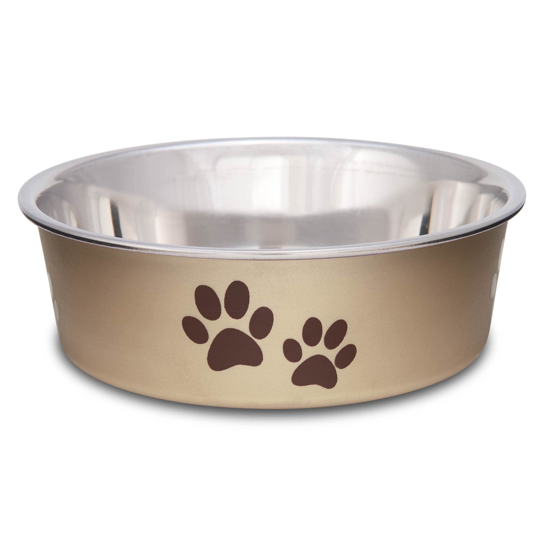 Stainless Steel Spill-Proof Pet Bowl