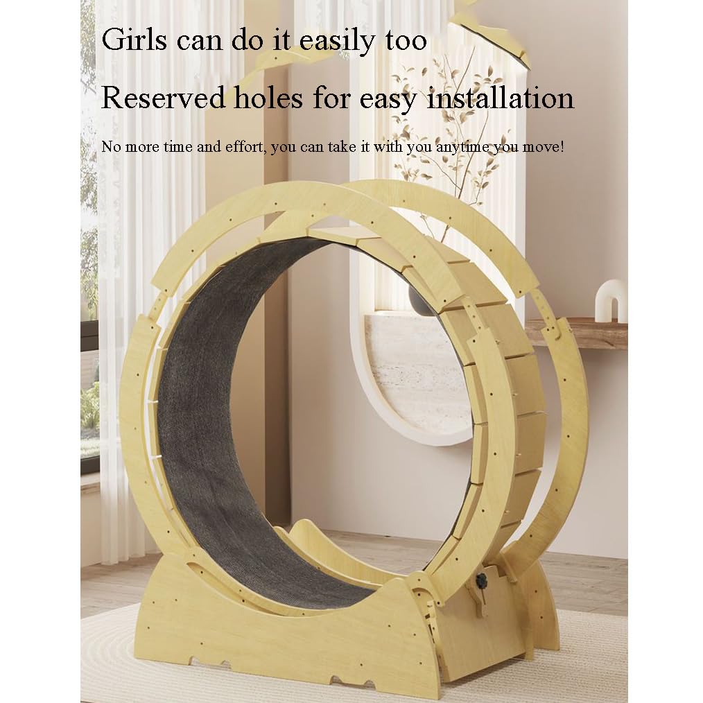 Cat Exercise Wheel with Locking Device