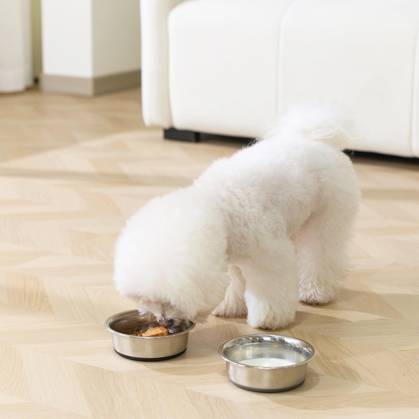 Heavy Duty Stainless Steel Dog Bowl with Non-Slip Base