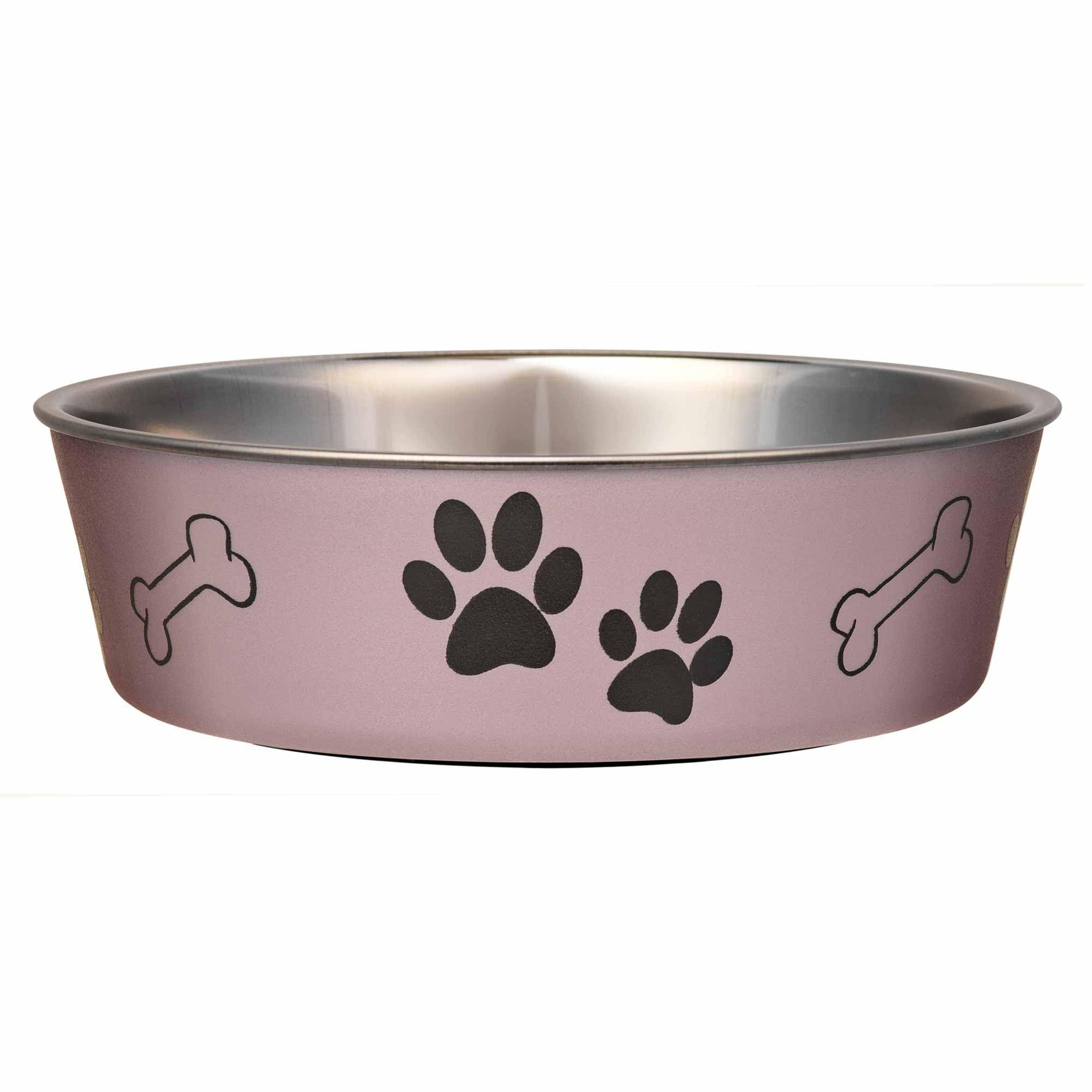 Stainless Steel Spill-Proof Pet Bowl