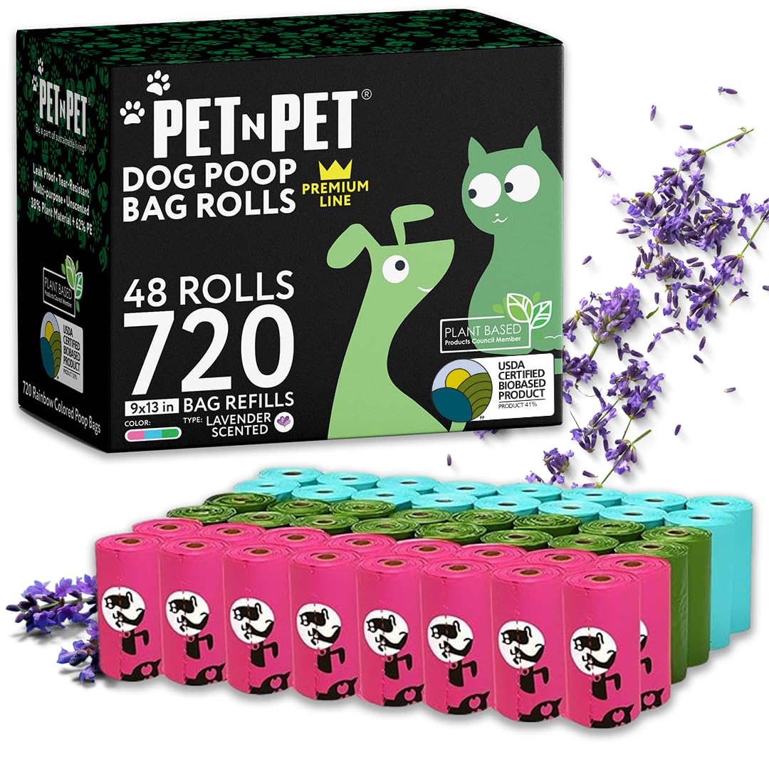 PNP Rainbow 270/720 - Parent