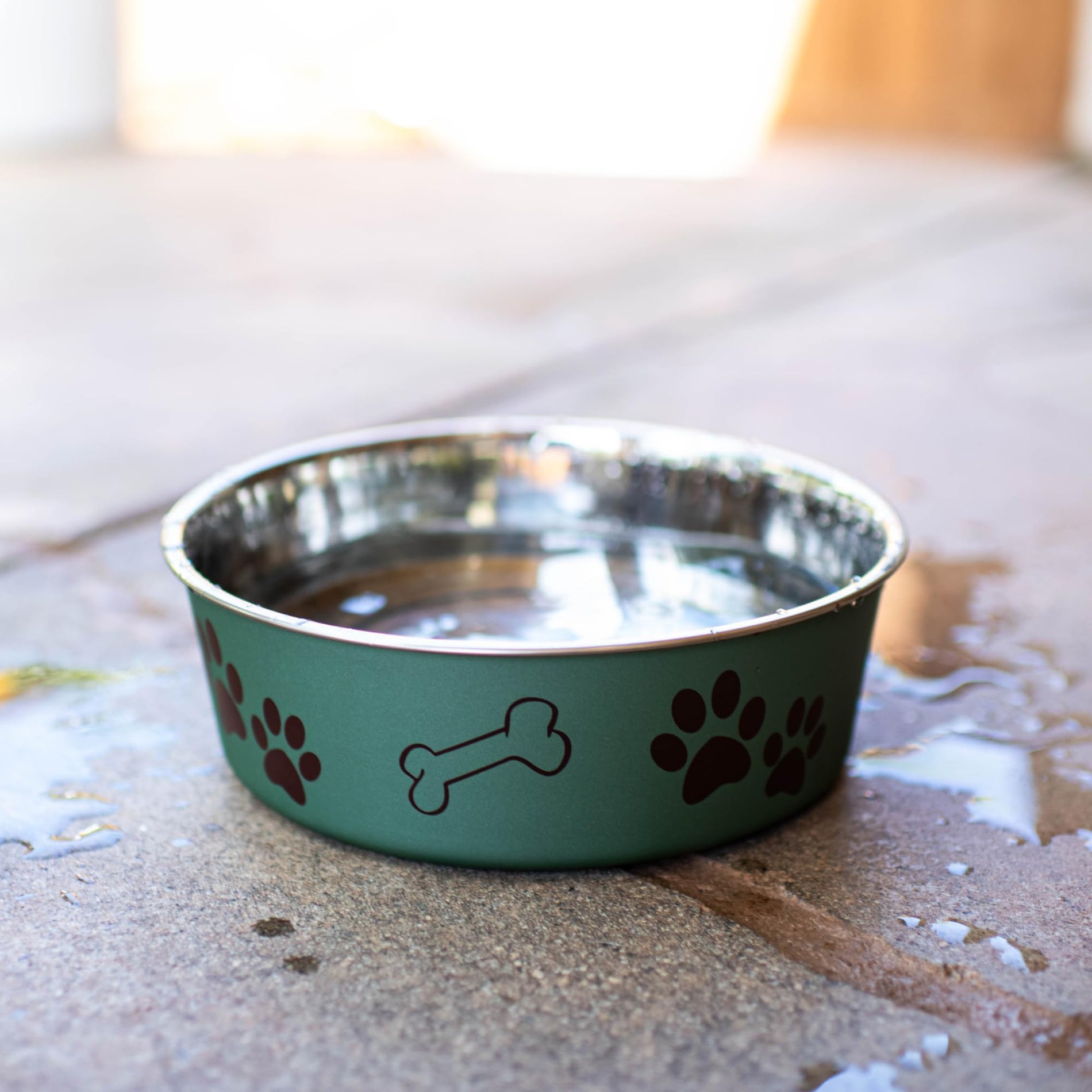 Stainless Steel Spill-Proof Pet Bowl