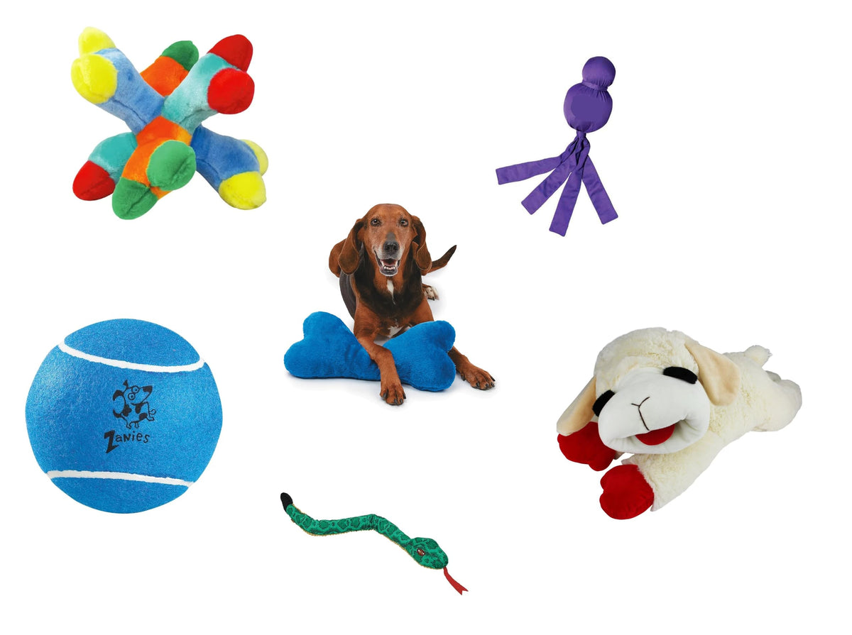 Large Dog Toy Bundle for Chew and Tug
