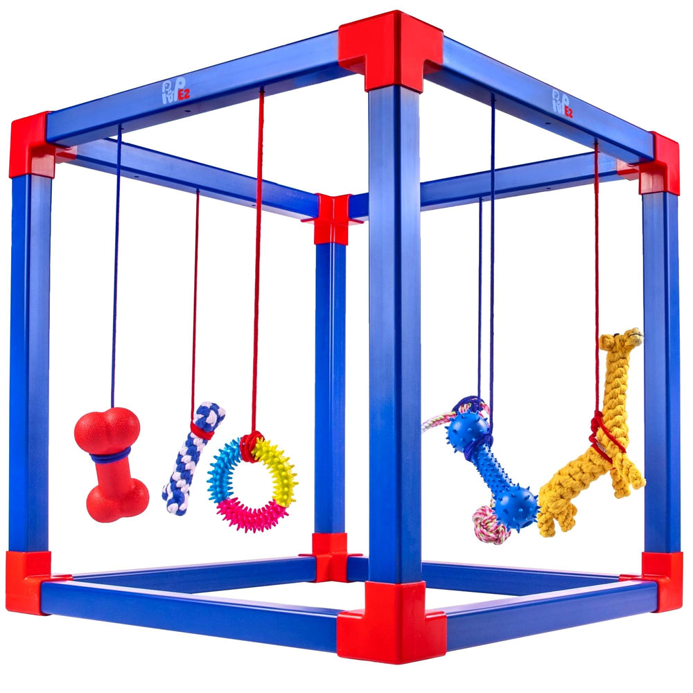 Portable Dog Play Gym with Toys