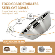 Elevated Cat Food & Water Bowl Set