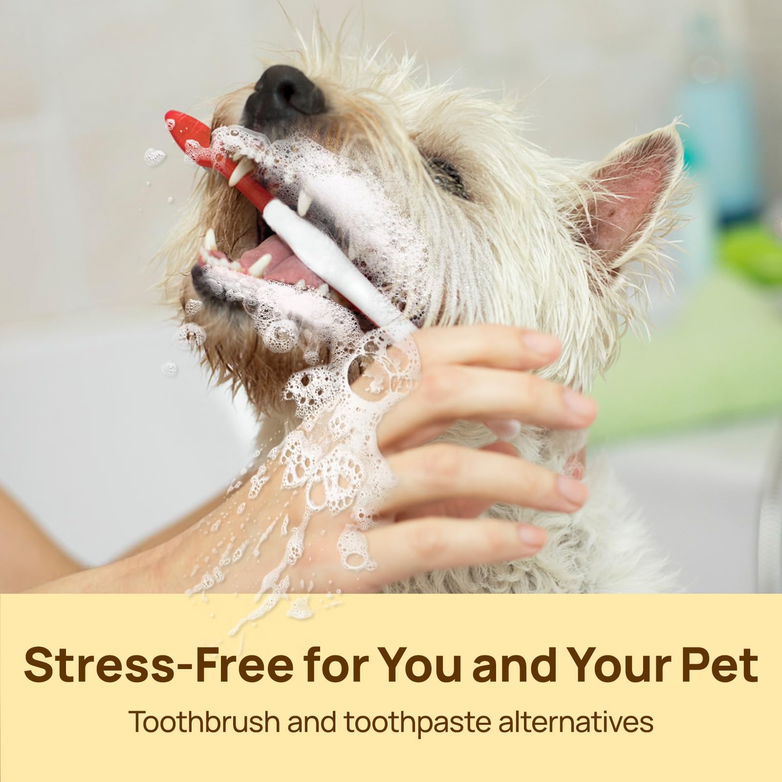 Pet Dental Cleaning Wipes for Dogs & Cats
