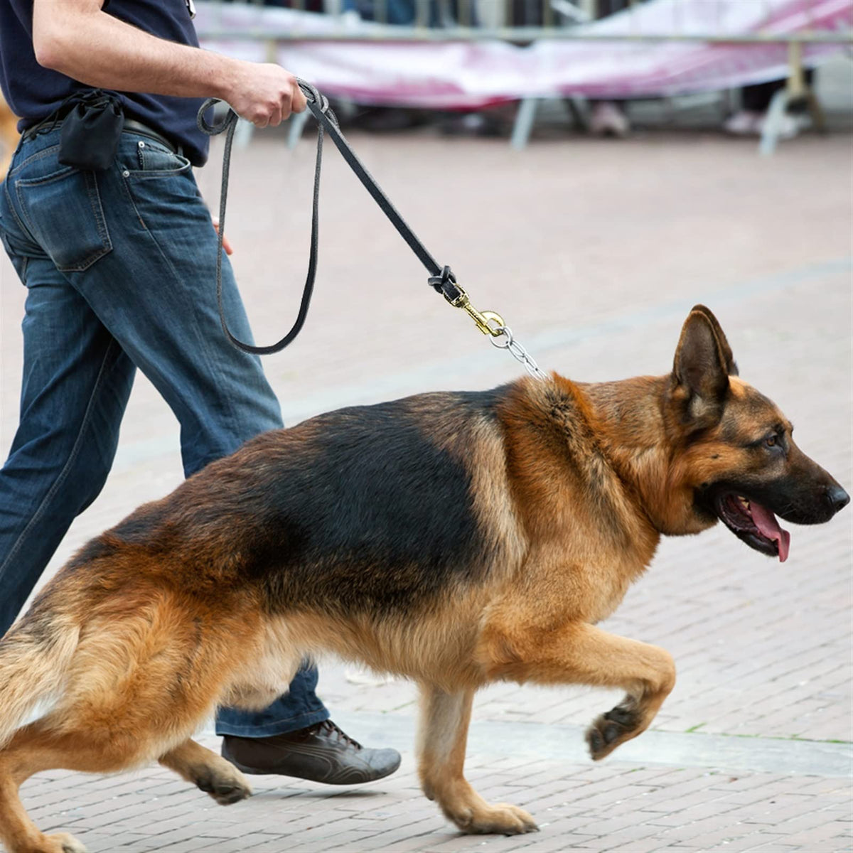 Leather Dog Training Leash for Large Dogs