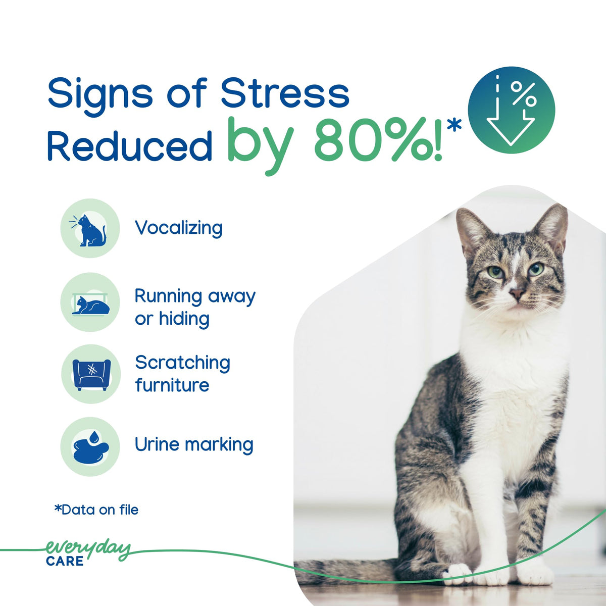 Cat Calming Gel Diffuser 2-Month Formula