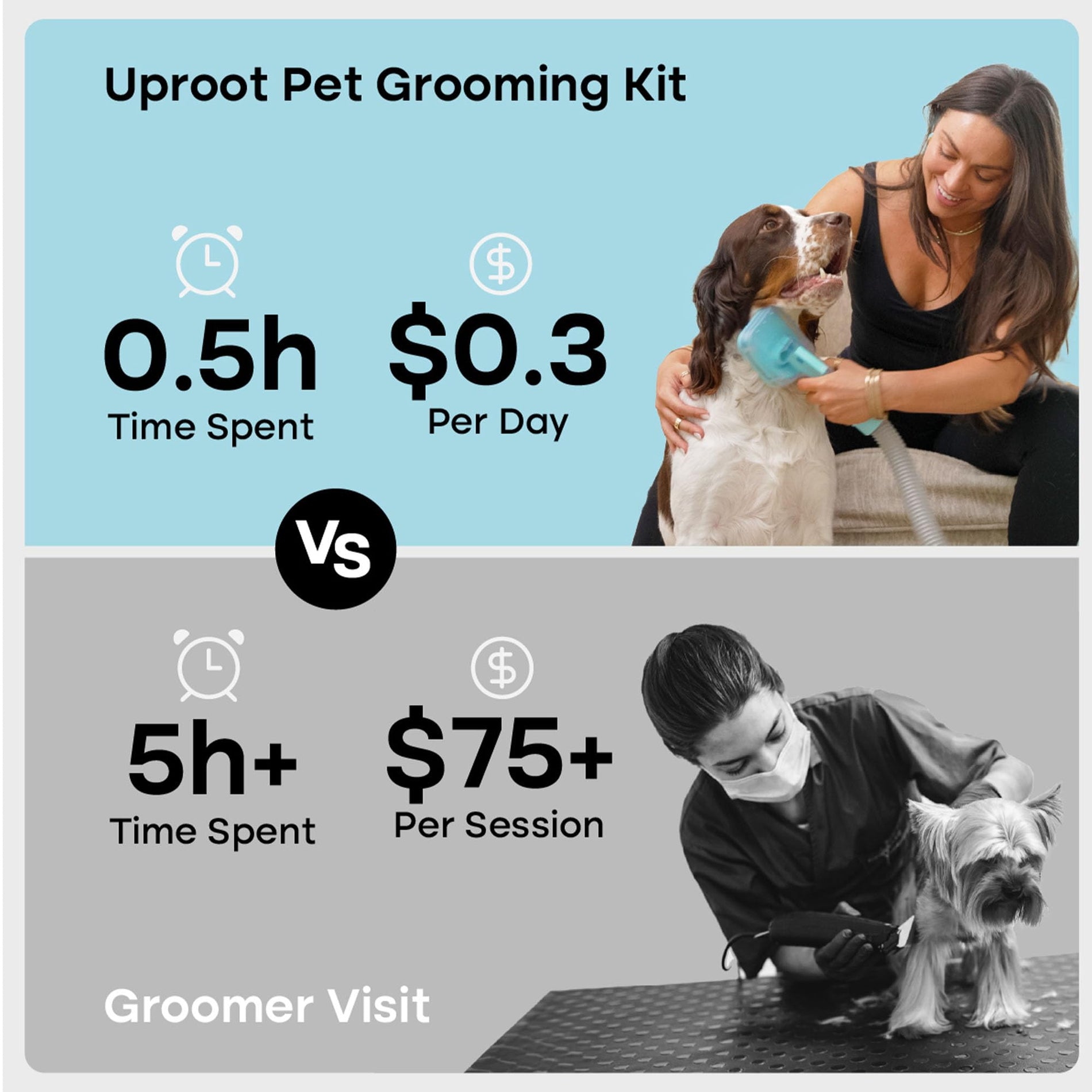 Pet Grooming Kit with Brush & Trimmer Attachments