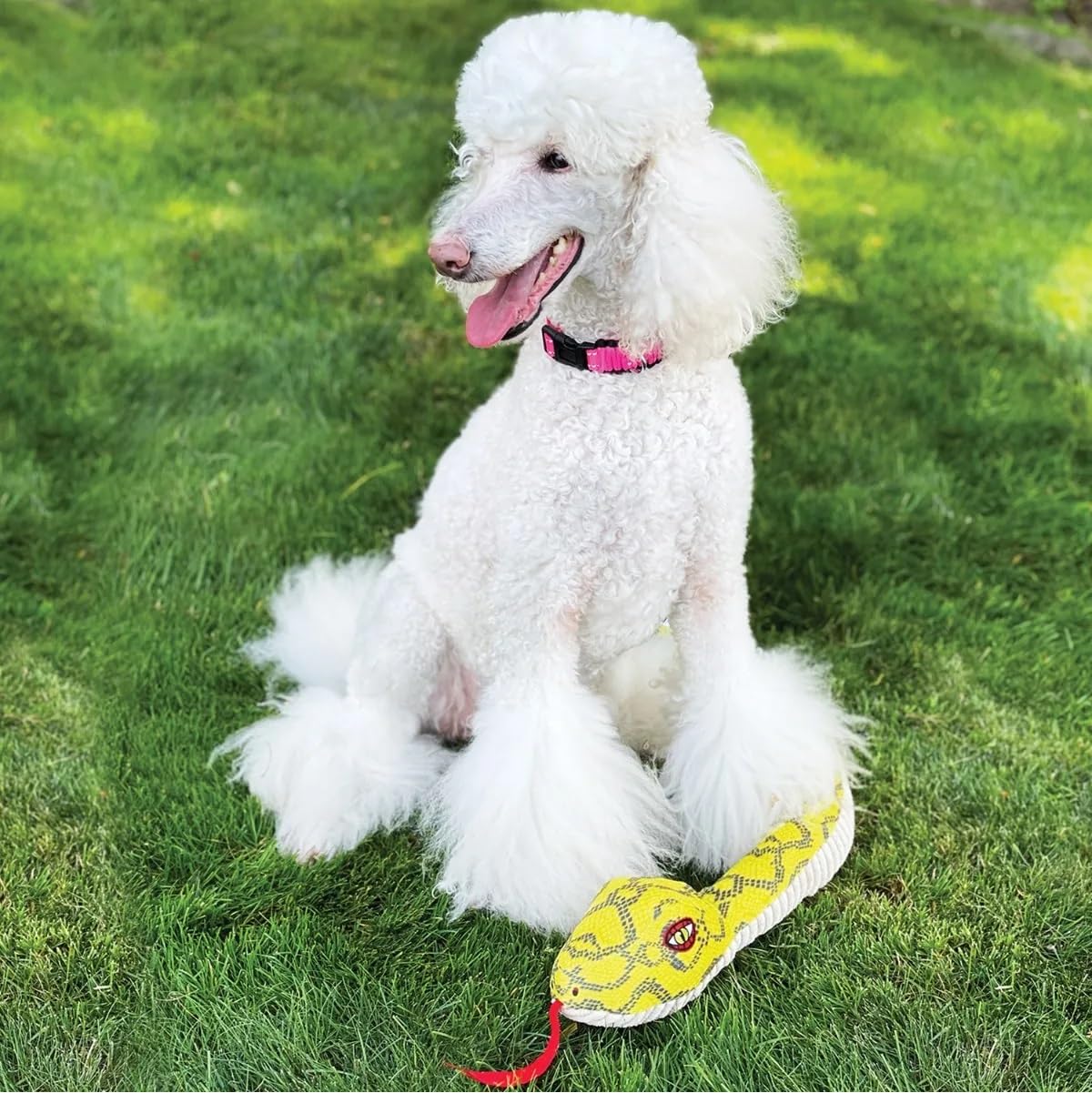 Large Dog Toy Bundle for Chew and Tug