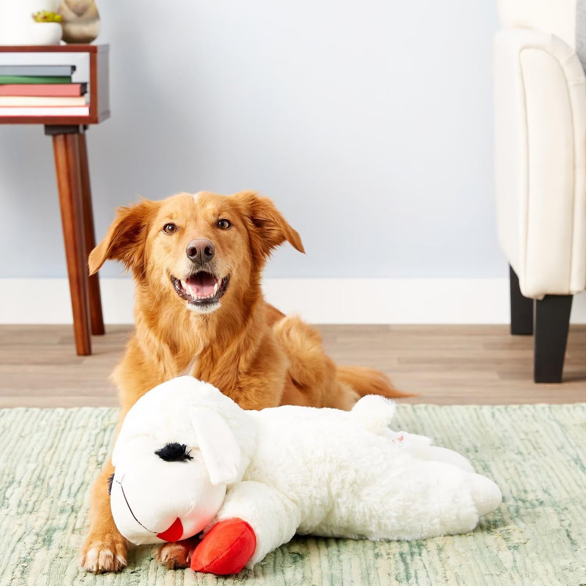 Large Dog Toy Bundle for Chew and Tug