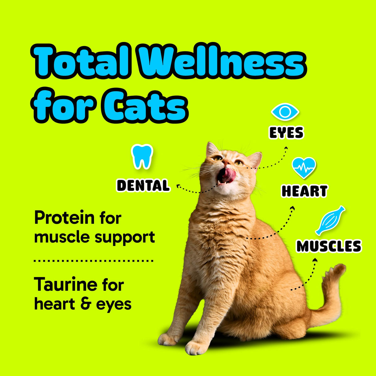 Cat Dental Care Soft Chews