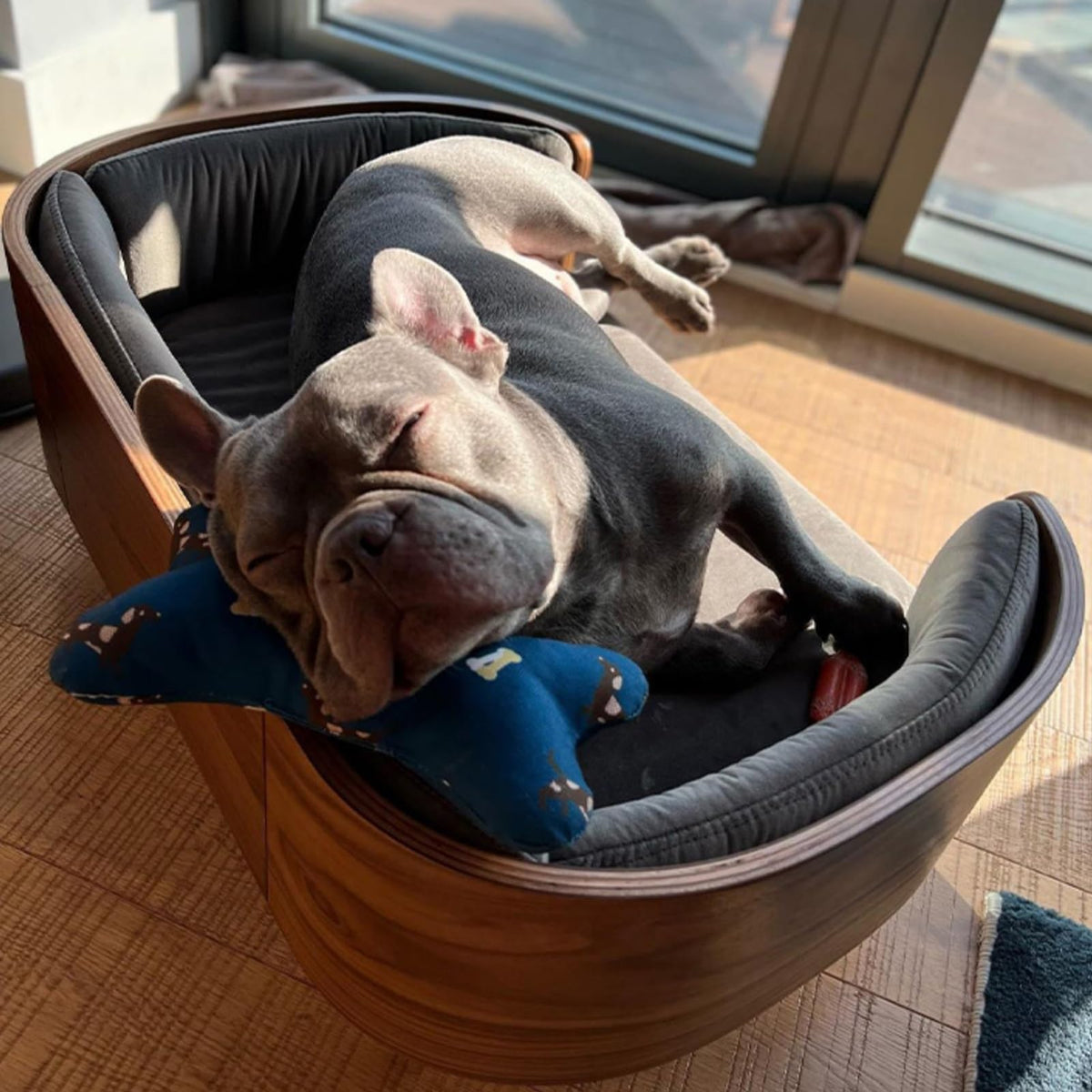 Elevated Wooden Pet Bed with Mattress