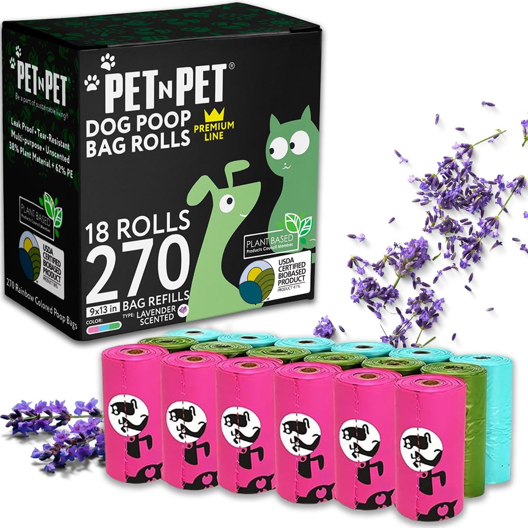 PNP Rainbow 270/720 - Parent