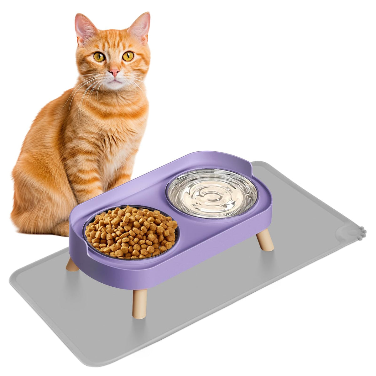 Elevated Cat Food & Water Bowl Set