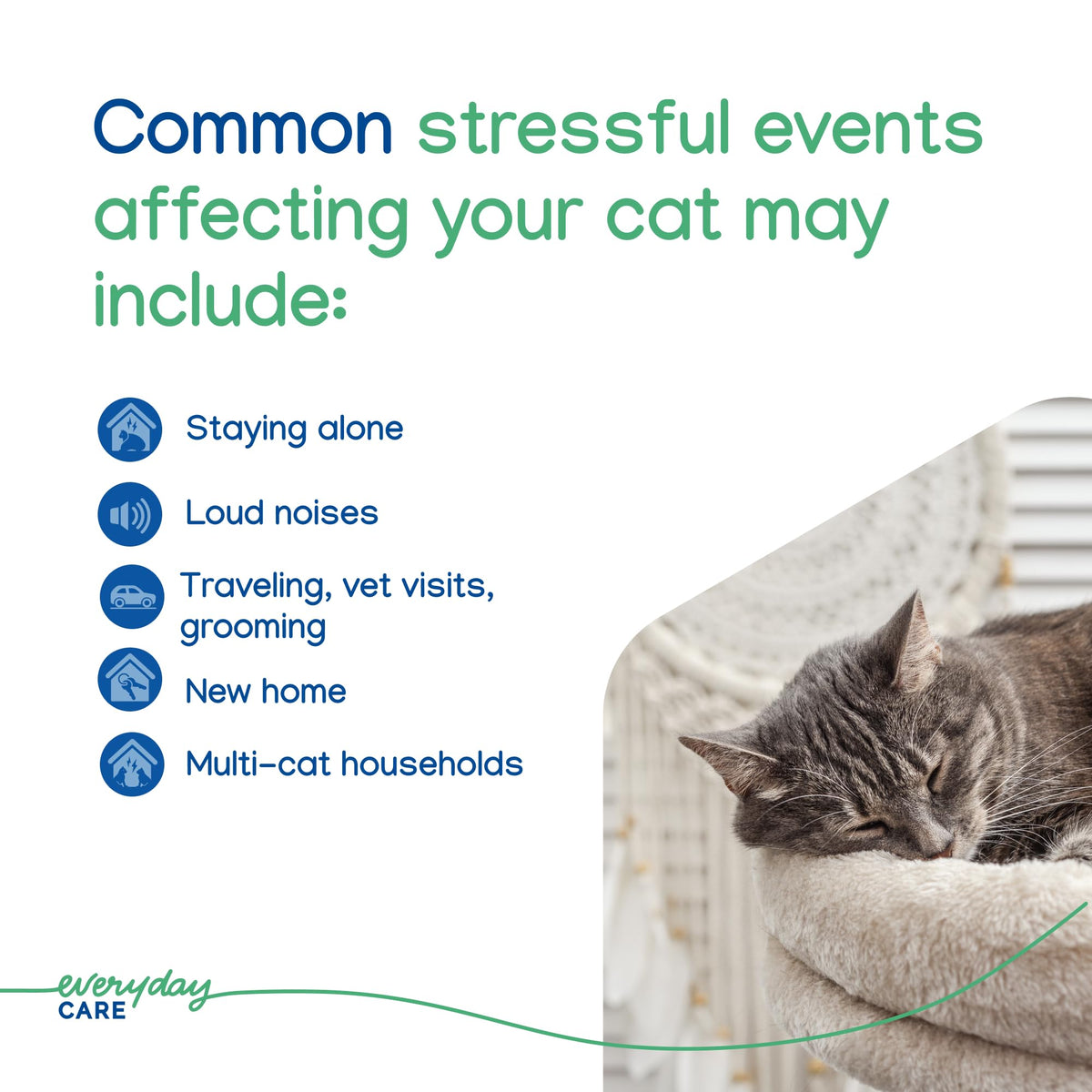 Cat Calming Gel Diffuser 2-Month Formula