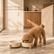 Ceramic Pet Bowl Set with Wooden Stand