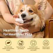 Pet Dental Cleaning Wipes for Dogs & Cats