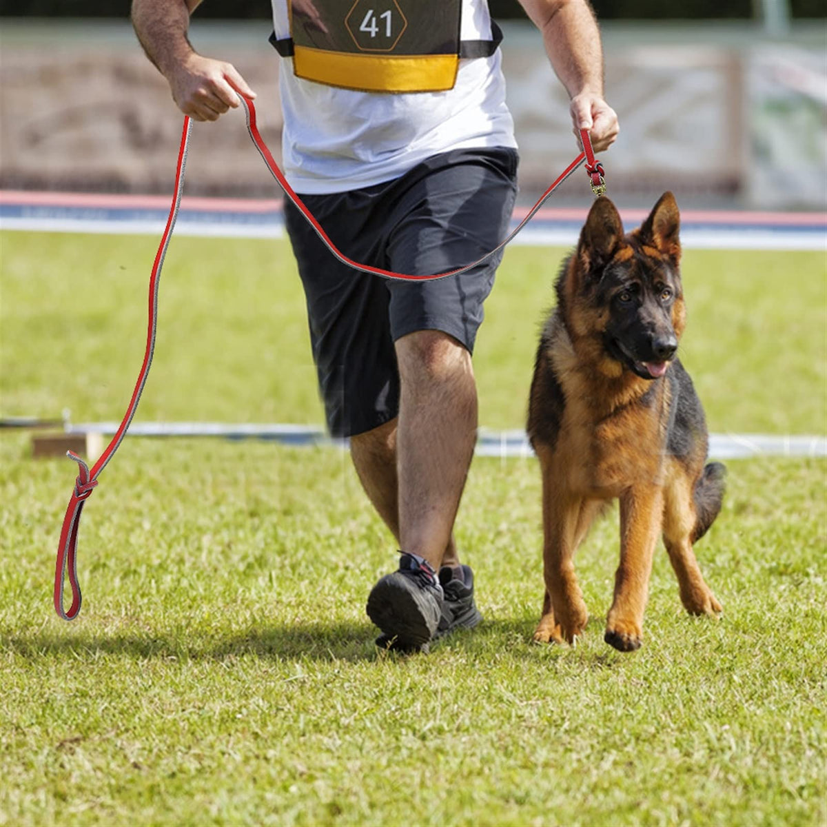 Leather Dog Training Leash for Large Dogs