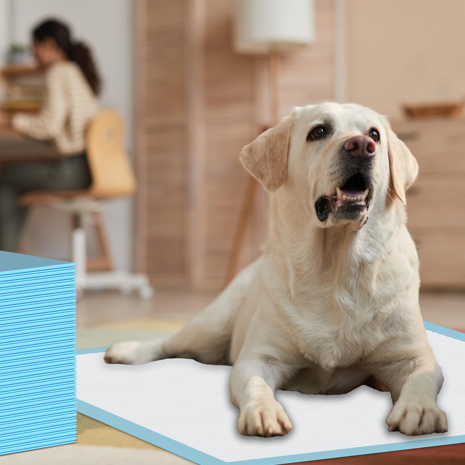 Leak-Proof Puppy Training Pads 60 Count