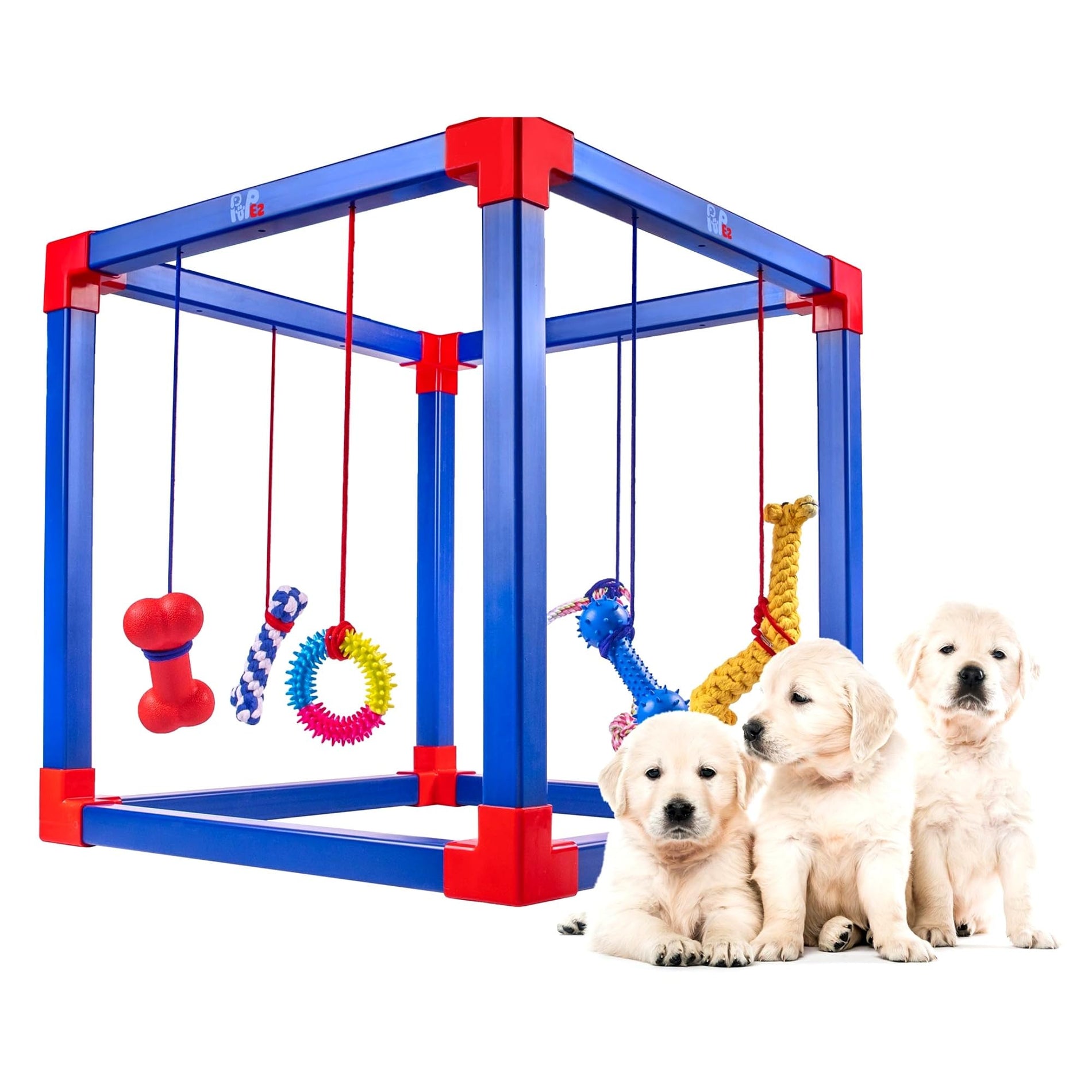 Portable Dog Play Gym with Toys